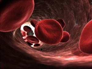 red-blood-cells-artery